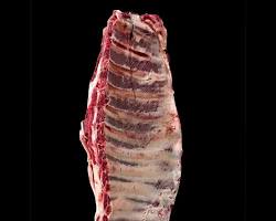 IMG-20250623-WA0096 Costillar